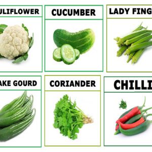 Divya Sur 6 Variety Vegetable Seeds Combo Pack