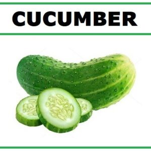 Divya Sur 6 Variety Vegetable Seeds Combo Pack