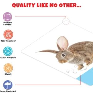 Divya Sur ANIMALS Flash Cards for Kids (32 Cards) | Fun Learning Toy for 2-6 years
