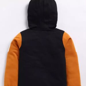 Divya Sur baby boys cotton chest printed full sleeve hooded sweatshir