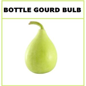 Divya Sur Bottle Gourd Bulb Seeds