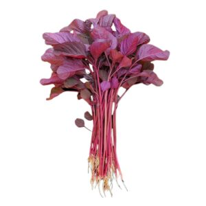 Divya Sur Red Spinach 2000 Seeds