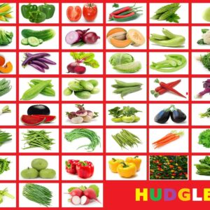 Divya Sur 45 Variety of Vegetable Seeds with Instruction Manual